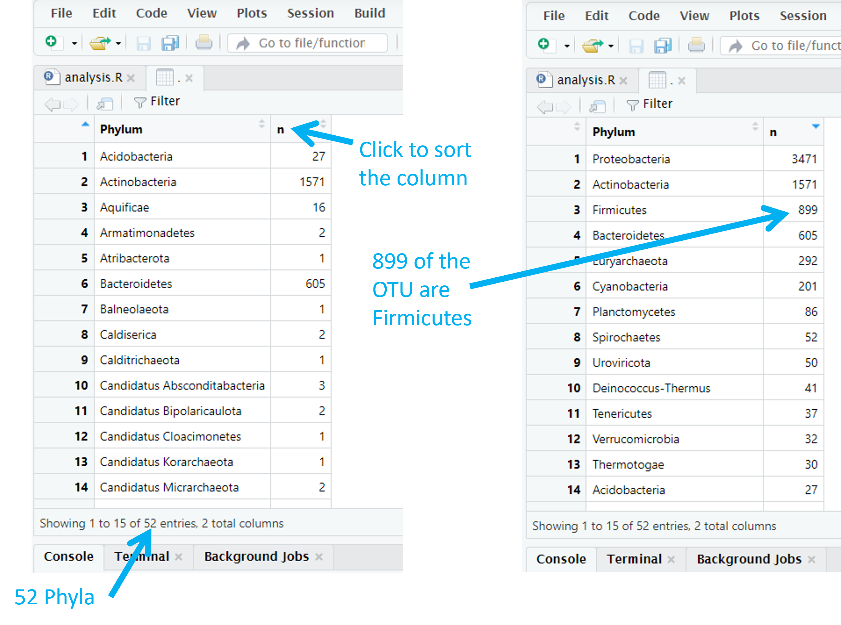 Two views of the phyla frequency table: sorted alphabetically by phylum on the left and by the number of OTUs (n) in each phylum on the right