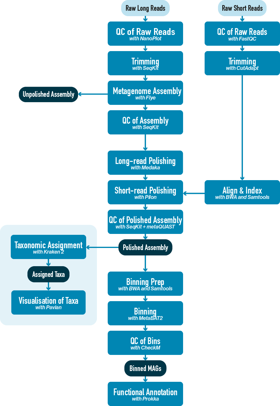 Workflow diagram with taxonomic assignment and taxa visualisation steps highlighted