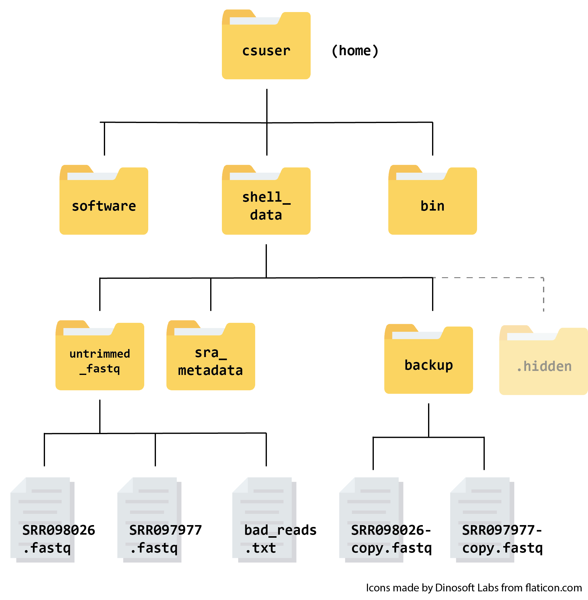 A file hierarchy tree